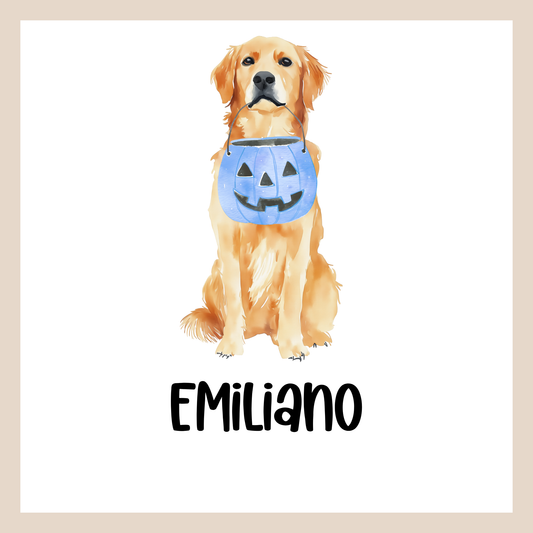 Halloween Golden Boy