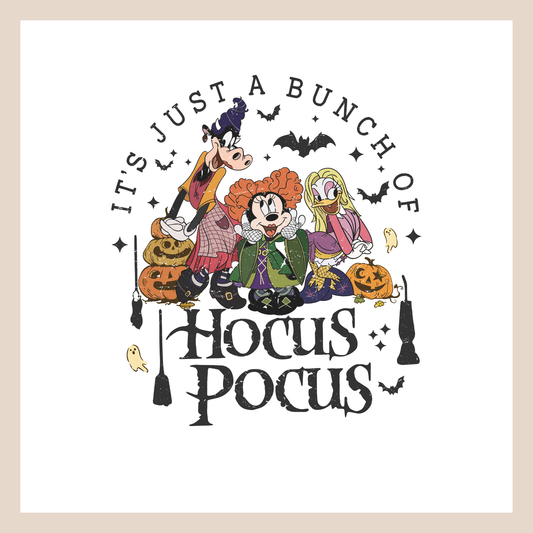 Hocus Pocus Minnie and Friends