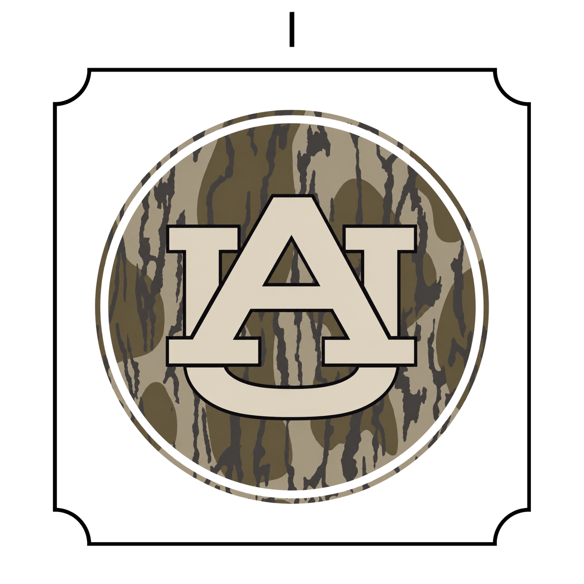Boys Auburn Game Day