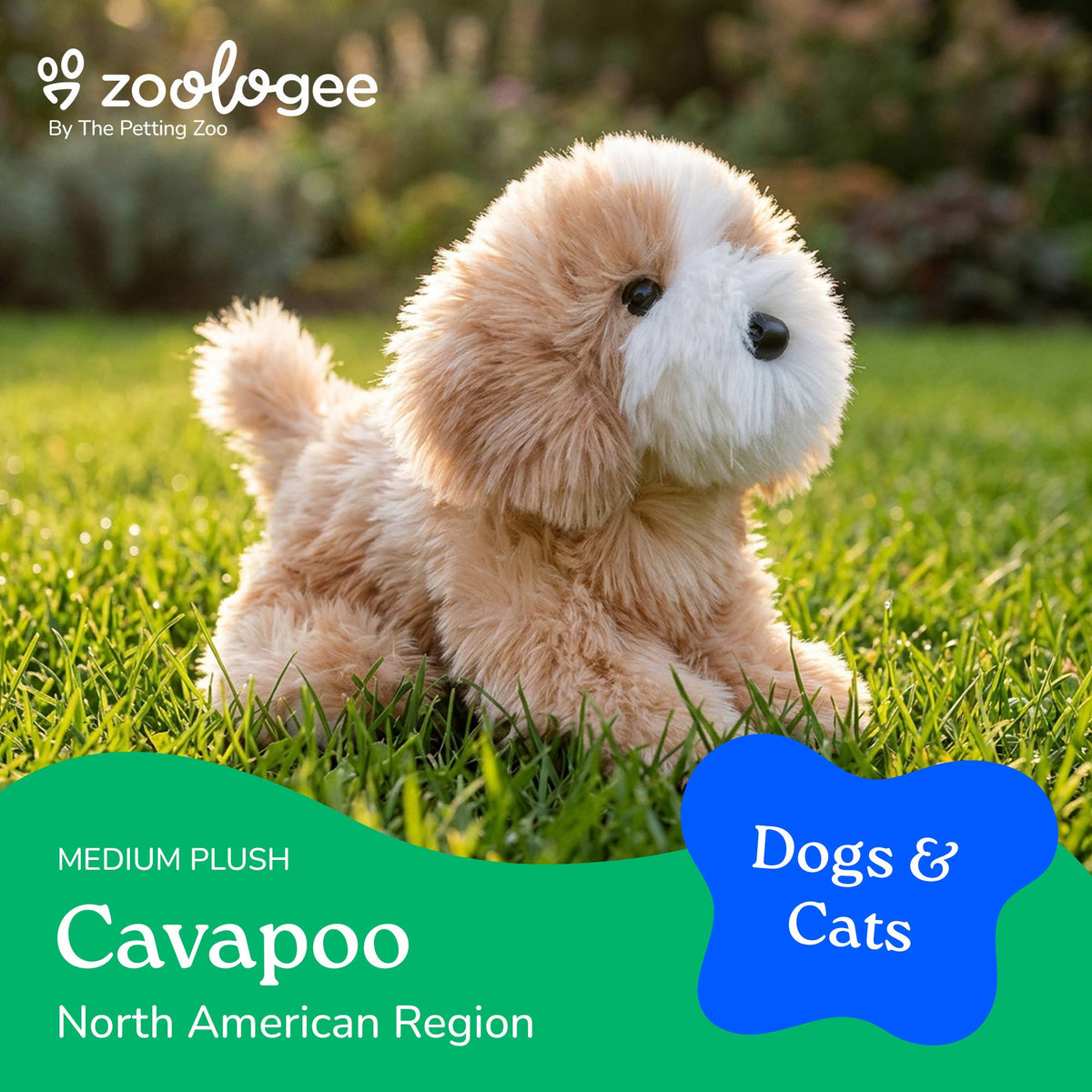 Cavapoo Plush, 11"