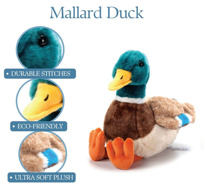 Mallard Plush, 12"