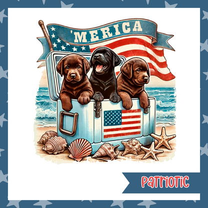 'Merica Lab Pups