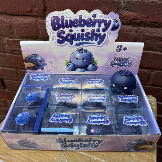Crunchy Blueberry Squishy