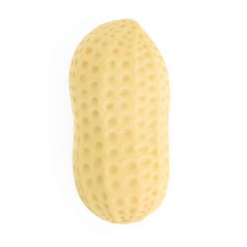 Crunchy Peanut Squishy